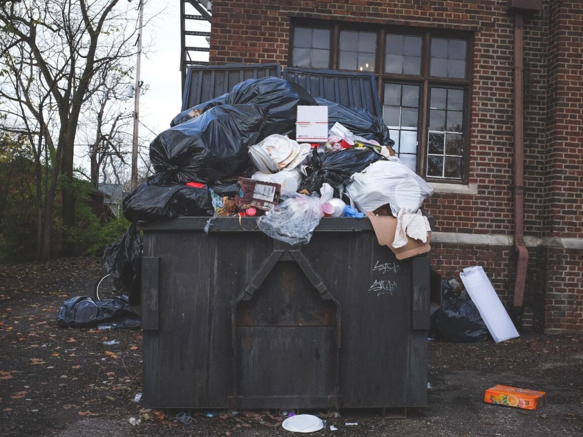 Benefits of having a garbage disposal Middle Class Homes